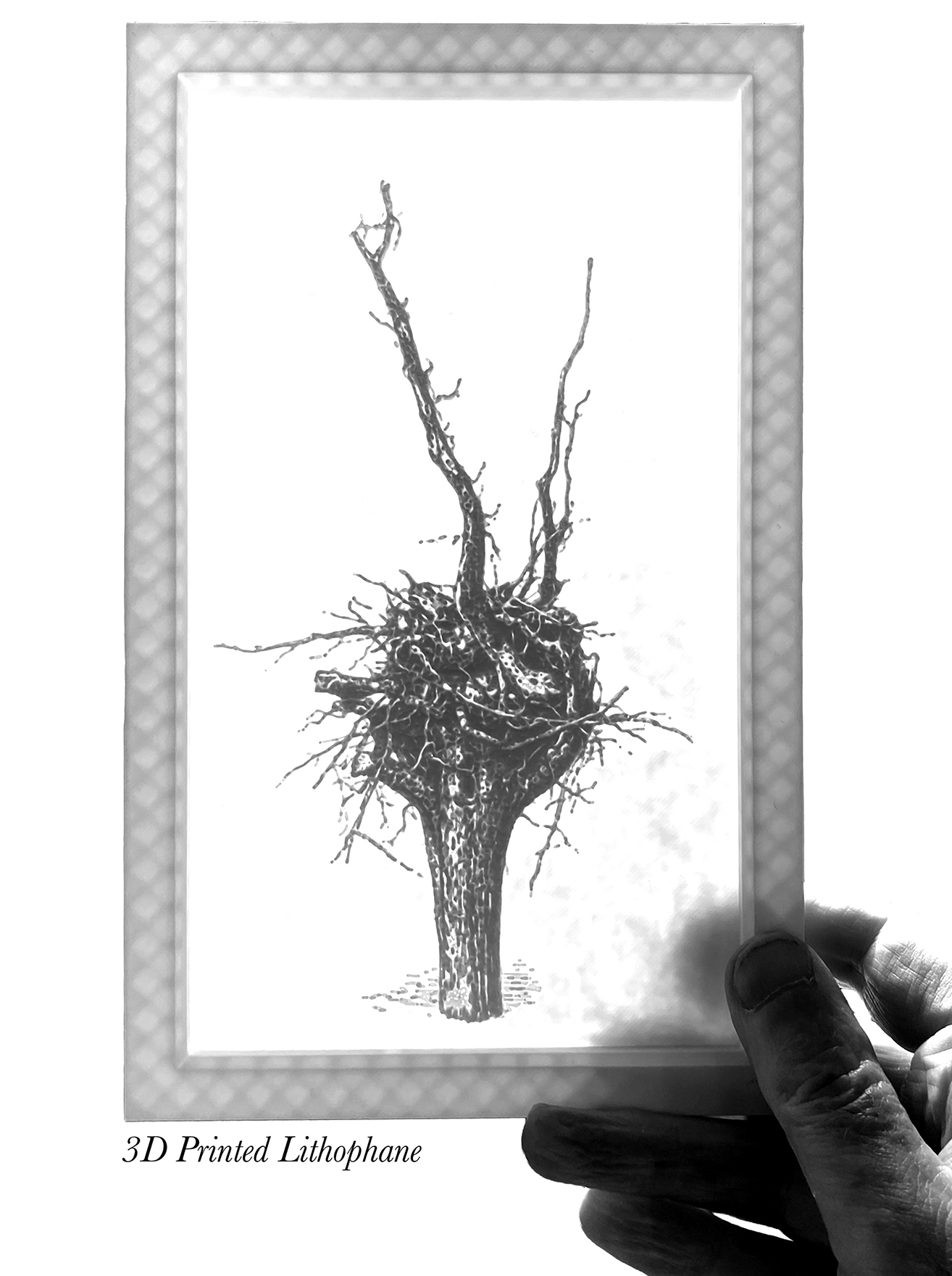 3D Printed Lithophane